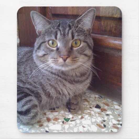 Shangel Muismat (Voorkant)