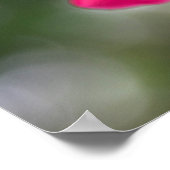 Shanghai Beauty Poster (Hoek)