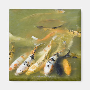 Shanghai, China Magneet