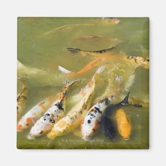 Shanghai, China Magneet (Voorkant)