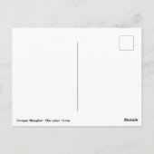 Shanghai-fresco - Petrus-Lyon Briefkaart (Achterkant)