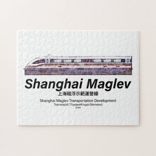 Shanghai Maglev High-Speed SMT Transrapid Train Legpuzzel (Horizontaal)