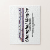 Shanghai Maglev High-Speed SMT Transrapid Train Legpuzzel (Verticaal)