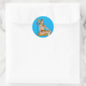Shankar Stickers (Tas)