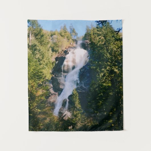 Shannon-waterval, Squamish, Canada  Wandkleed (Voorkant)