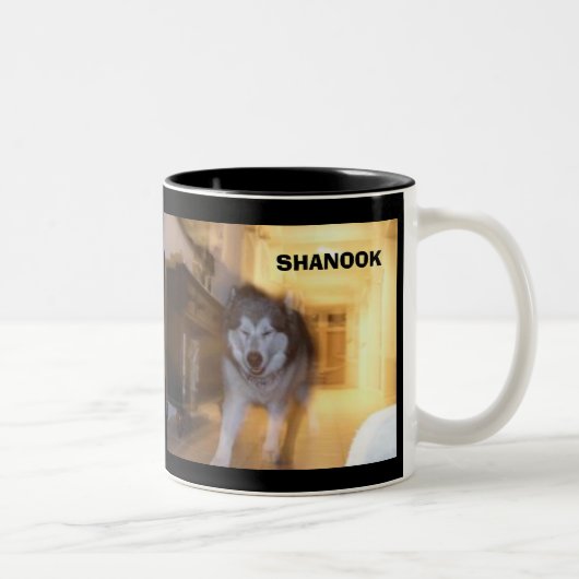 SHANOOK TWEEKLEURIGE KOFFIEMOK (Rechts)