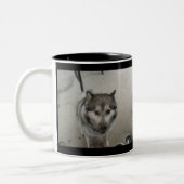 SHANOOK TWEEKLEURIGE KOFFIEMOK (Links)