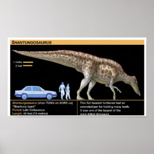 Shantungosaurus - Biologie Jurassisch Poster