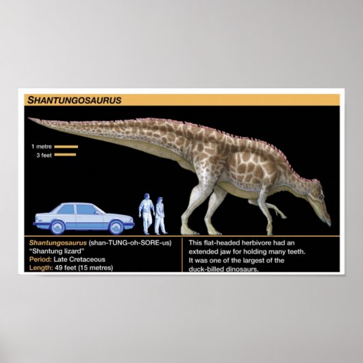 Shantungosaurus - Biology Jurassic Poster (Voorkant)