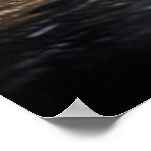 Shaolin Kung Fu Warrior Poster (Hoek)