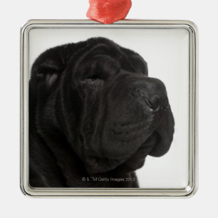 Shar Pei (1 jaar oud) close-up Metalen Ornament