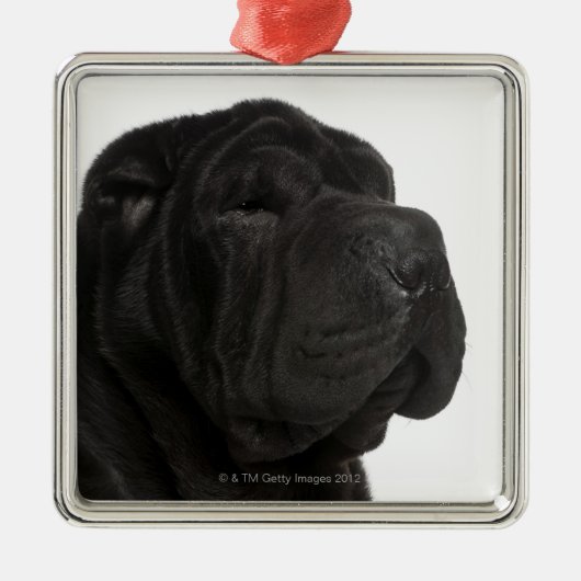 Shar Pei (1 jaar oud) close-up Metalen Ornament (Voorkant)
