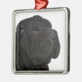 Shar Pei (1 jaar oud) close-up Metalen Ornament (Links)