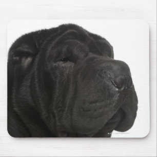 Shar Pei (1 jaar oud) close-up Muismat