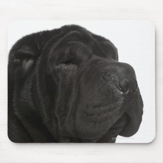 Shar Pei (1 jaar oud) close-up Muismat (Voorkant)