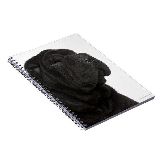Shar Pei (1 jaar oud) close-up Notitieboek (Rechterzijde)