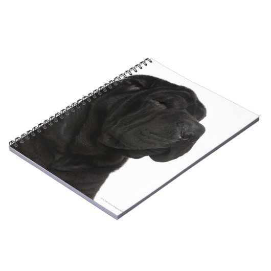 Shar Pei (1 jaar oud) close-up Notitieboek (Linkerzijde)