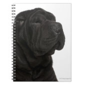 Shar Pei (1 jaar oud) close-up Notitieboek (Voorkant)