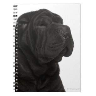 Shar Pei (1 jaar oud) close-up Notitieboek