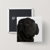 Shar Pei (1 jaar oud) close-up Vierkante Button 5,1 Cm (Voorkant /achterkant)