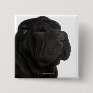 Shar Pei (1 jaar oud) close-up Vierkante Button 5,1 Cm
