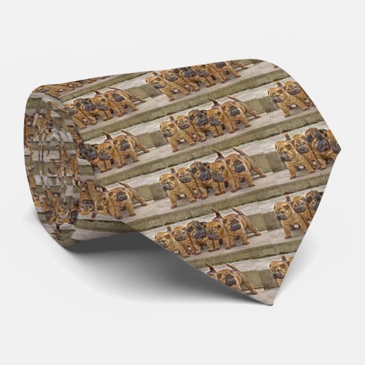 Shar-Pei 5 in een Stropdas met rij (Opgerold)