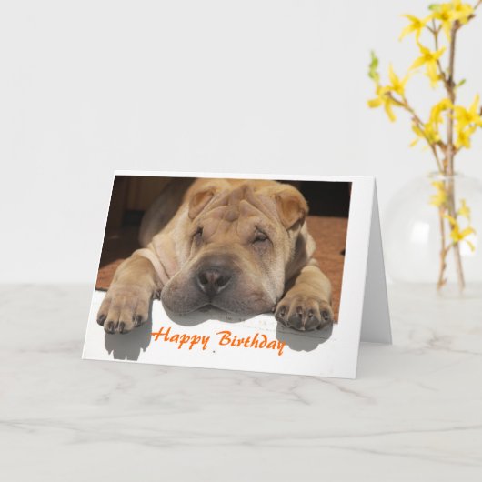 Shar Pei Birthday Kaart (Gele Bloem)