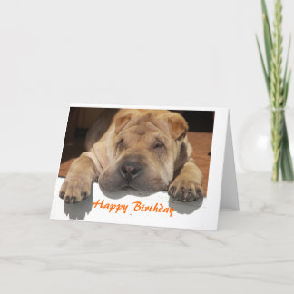 Shar Pei Birthday Kaart