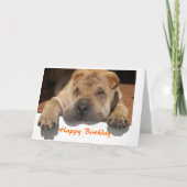 Shar Pei Birthday Kaart (Voorkant)