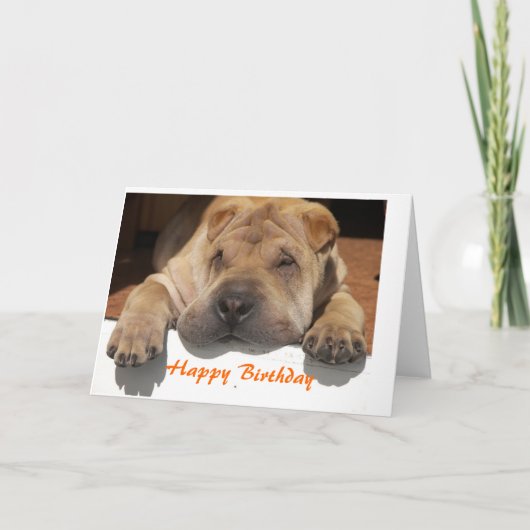 Shar Pei Birthday Kaart (Voorkant)