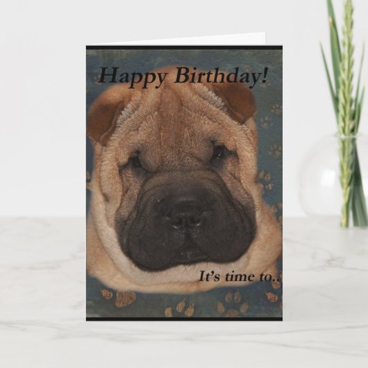 Shar Pei Birthday-Take Paws Kaart (Voorkant)