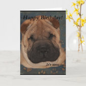 Shar Pei Birthday-Take Paws Kaart (Gele Bloem)