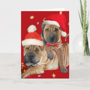 Shar-pei Brothers kerstkaarten Feestdagen Kaart