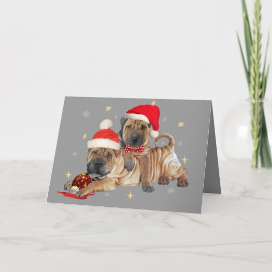 Shar-pei Brothers Kerstmis Kaarten (Voorkant)