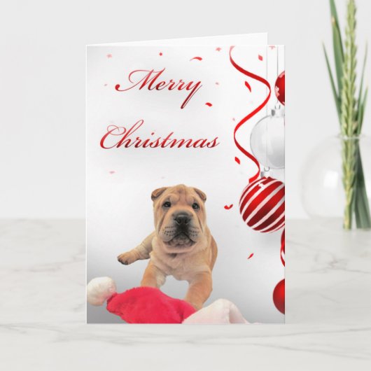 Shar-Pei Christmas Kaart (Voorkant)