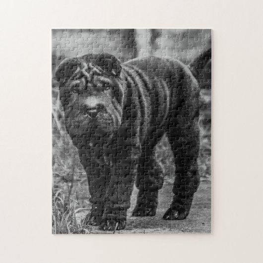 SHAR PEI CUTE DOG JIGSAW PUZZLE LEGPUZZEL (Verticaal)