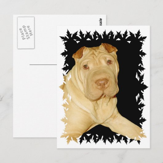 Shar Pei Dog Briefkaart (Voorkant / Achterkant)