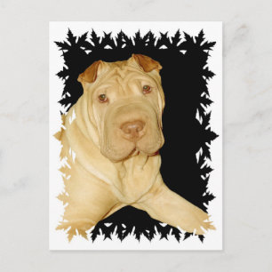 Shar Pei Dog Briefkaart