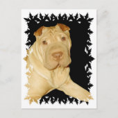 Shar Pei Dog Briefkaart (Voorkant)