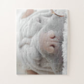 SHAR PEI DOG CLOSEUP PUZZZLE LEGPUZZEL (Verticaal)
