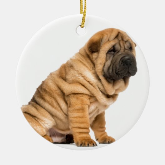 Shar pei Dog Keramisch Ornament (Voorkant)