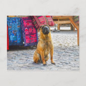 Shar Pei Dog, Ollantaytambo, Peru Briefkaart (Voorkant)