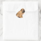 Shar pei Dog Ronde Sticker (Tas)