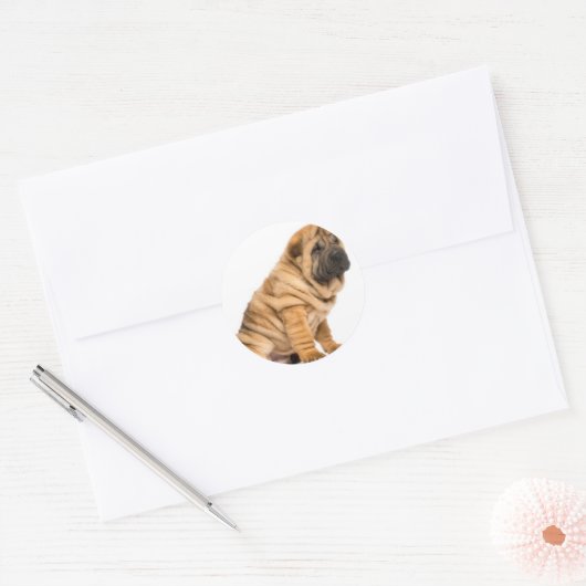 Shar pei Dog Ronde Sticker (Envelop)