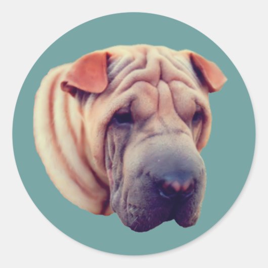 Shar Pei Face Dog Ronde Sticker (Voorkant)