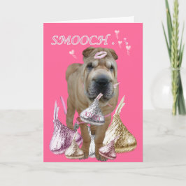 SHAR-PEI GEEFT KUSSEN EN KNUFFELT FEESTDAGEN KAART