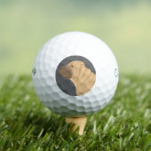 Shar Pei Golfballen (Insitu Shirt)