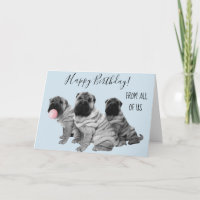 Shar Pei Happy Birthday uit ons allemaal puppy