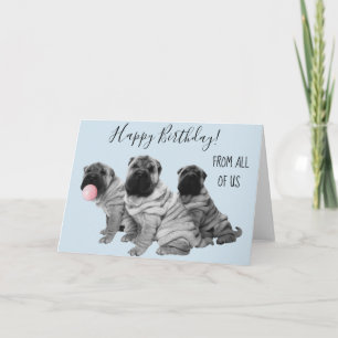 Shar Pei Happy Birthday uit ons allemaal puppy Kaart