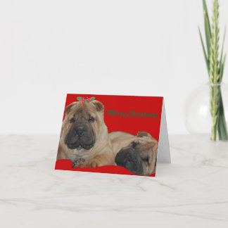 Shar Pei Holly Puppy Christmas Feestdagen Kaart